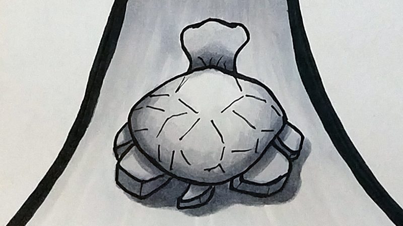 Turtle with a Goal